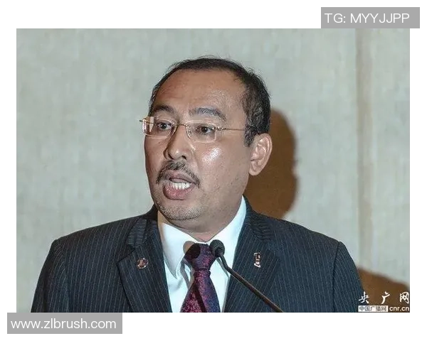 杭州乒乓球队的拼搏历程与荣耀时刻全景回顾